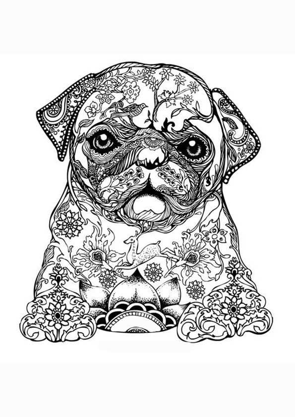 Bull A4 Jpg 595 842 With Images Puppy Coloring Pages Dog