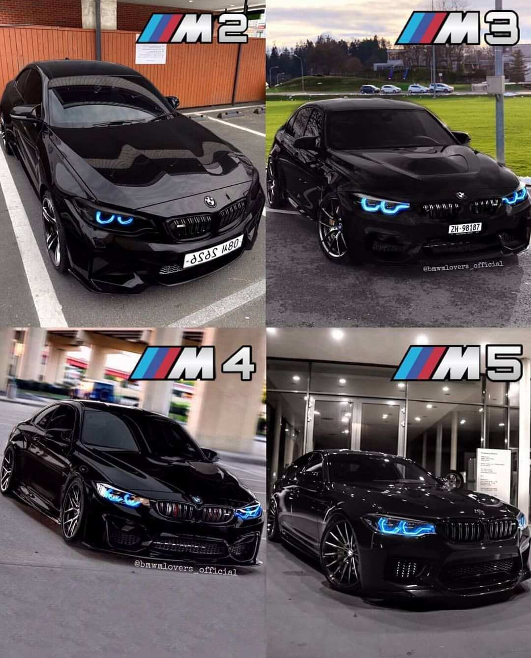 M Beasts With Images Bmw Sports Car Bmw Convertible Bmw