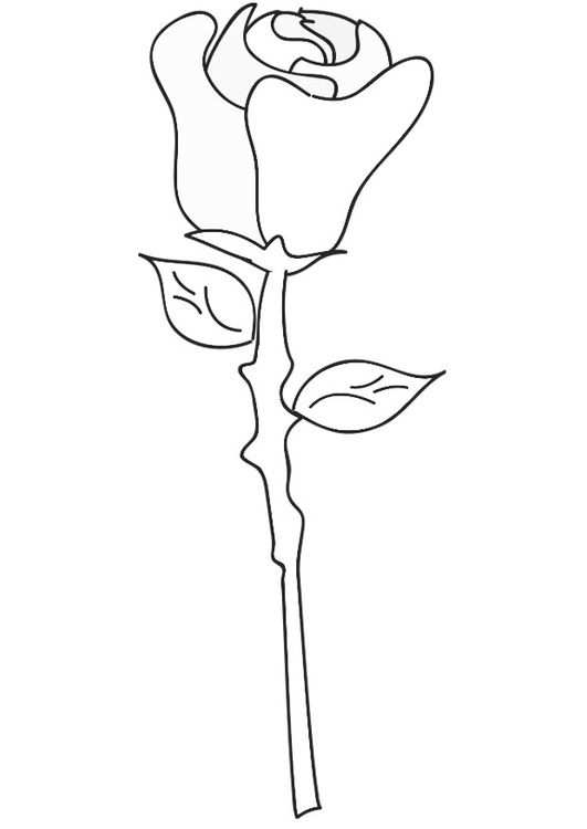 Afbeeldingsresultaat Voor Kleurplaten Bloemen Roos Bloemen