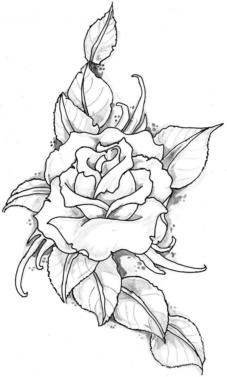 Coloring For Adults Kleuren Voor Volwassenen Kleurplaten