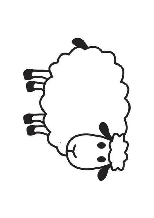 Plaatje Schaap Voor Watjes Schapen Knutselen Boerderij Thema