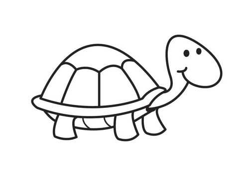 Kleurplaat Schildpad Met Afbeeldingen Kleurplaten Schildpad