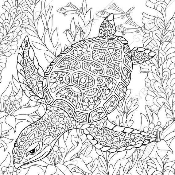 Coloring Pages For Adults Sea Turtle Adult Coloring Pages