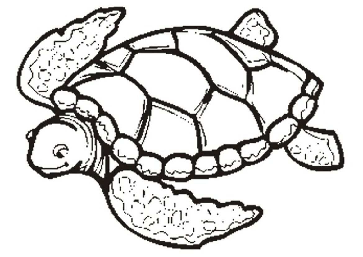 Dimanche C Est Coloriage En 2020 Coloriage Mandala Animaux
