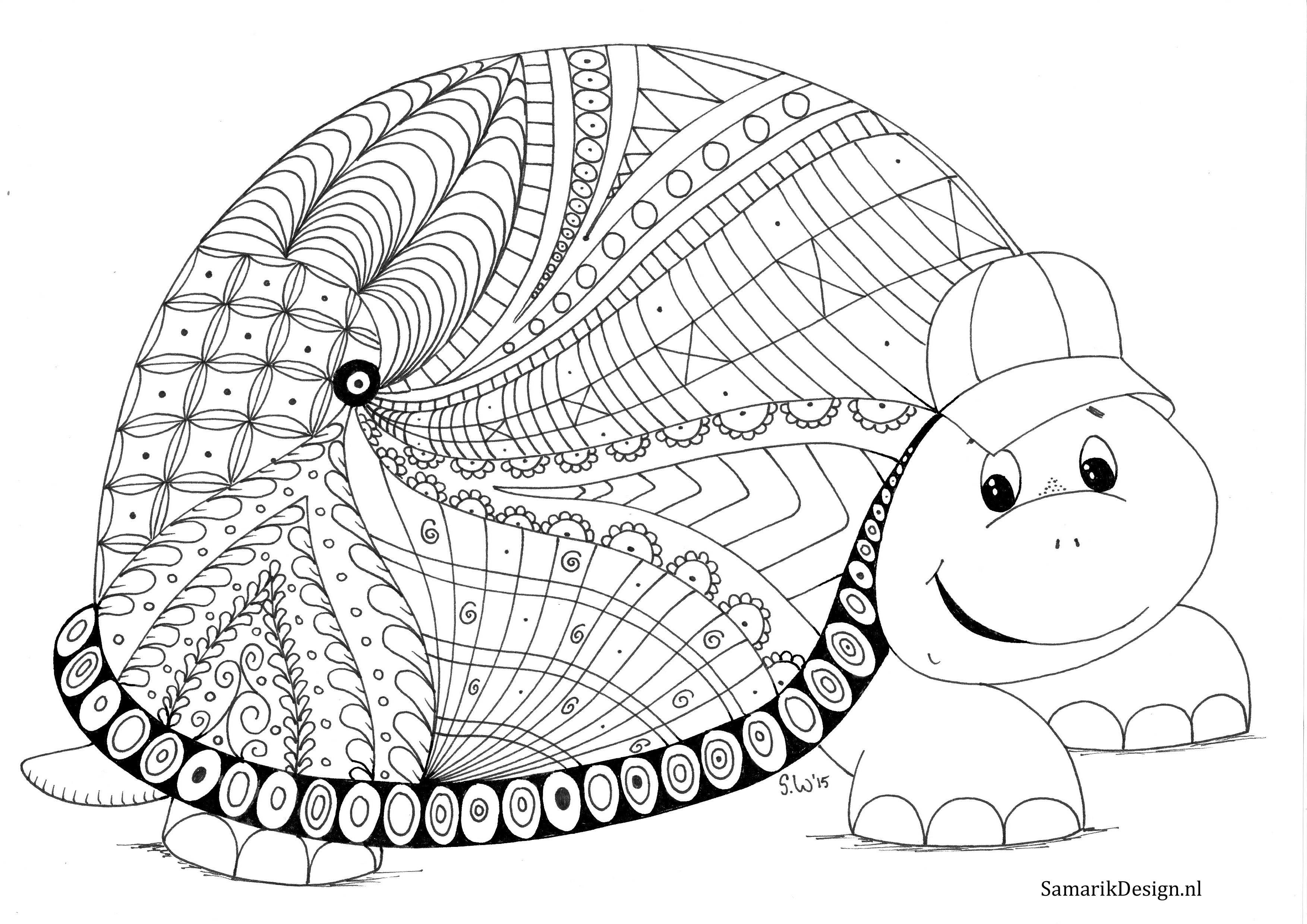 Pin Van Barbara Op Coloring Turtle Penguin Zendoodle