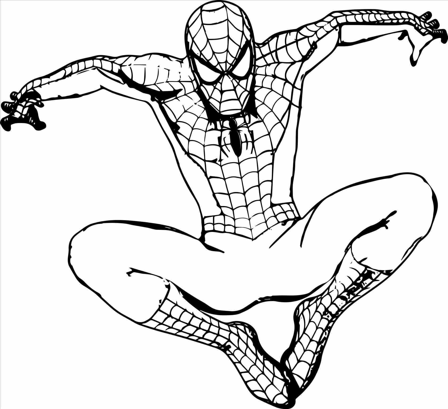 Easy Spiderman Pictures To Draw Free Printable Spiderman Coloring