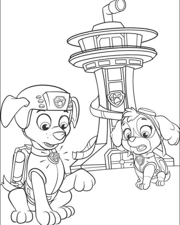 Zuma And Skye Paw Patrol Coloring Pages Coloriage Pat