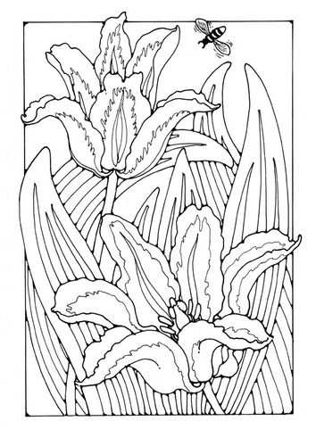 Kleurplaat Tulpen Coloring Pages