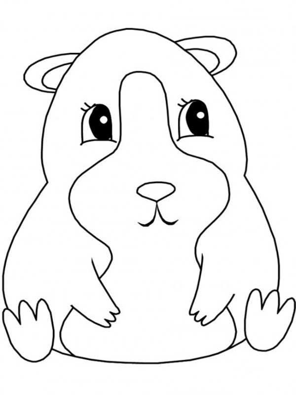 Pin Op Cavia S