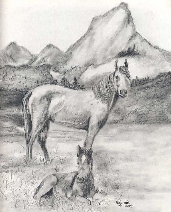 Drawing Paint Horse And Baby Paard En Veulen Met Afbeeldingen