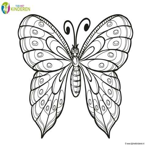 Vlinders Kleurplaat Vlinders En Bloemen In 2020 Kleurplaten