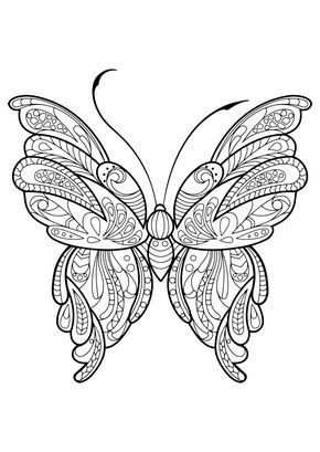 Volwassen Vlinder Kleurboek Met Afbeeldingen Mandala