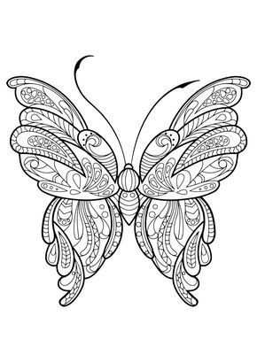 Kleurplaat Voor Volwassenen Butterflies Kleurplaten Bloemen Van