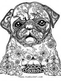 Coloring Volwassenen26 Dibujos De Perros Tatuaje Pug Animales