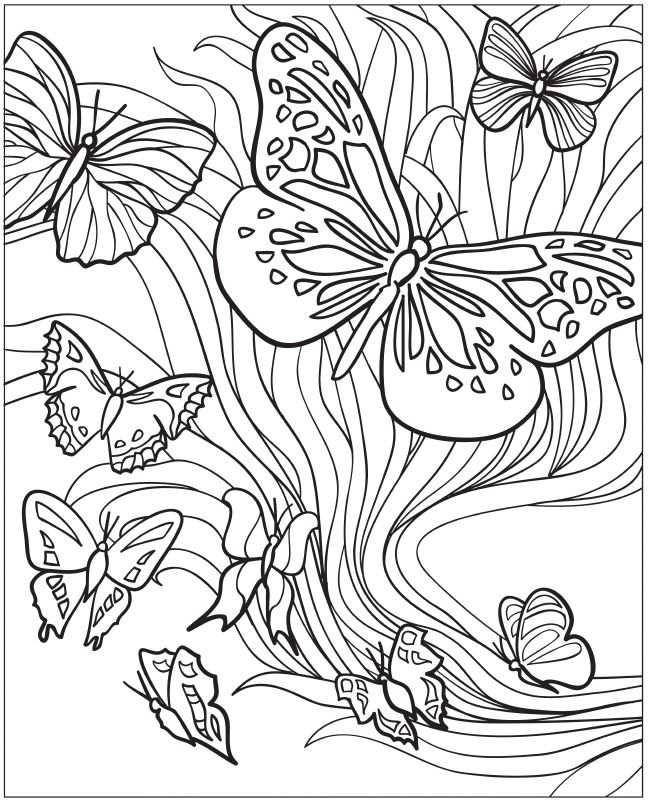 Welcome To Dover Publications Creative Haven Beautiful Butterfly