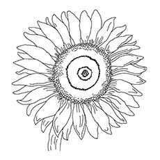 15 Beautiful Sunflower Coloring Pages For Your Little Girl