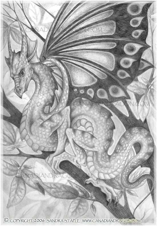 Dragon Fantasy Myth Mythical Mystical Legend Dragons Wings Sword