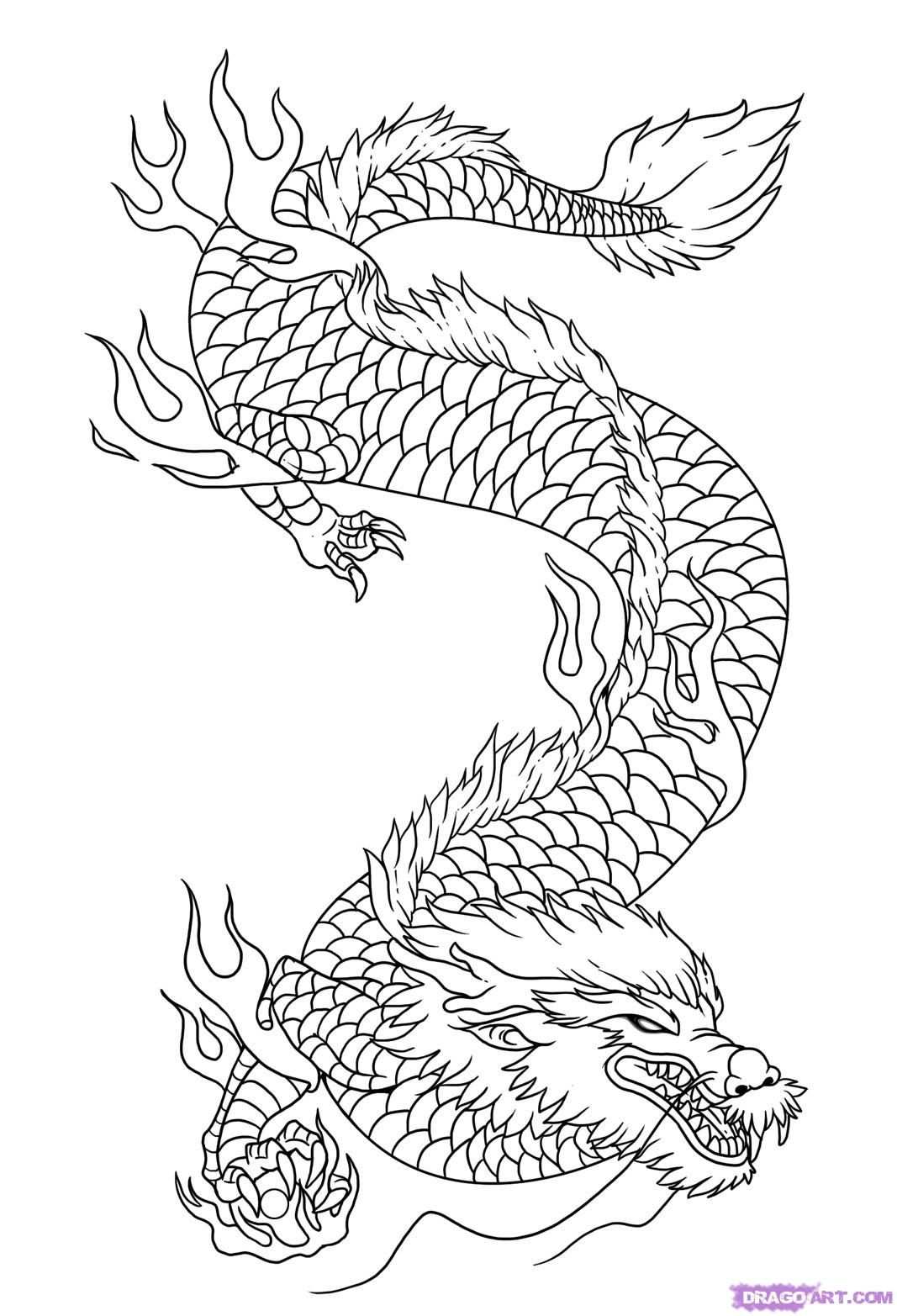 How To Draw Dragon Art By Dawn Met Afbeeldingen Kleurplaten