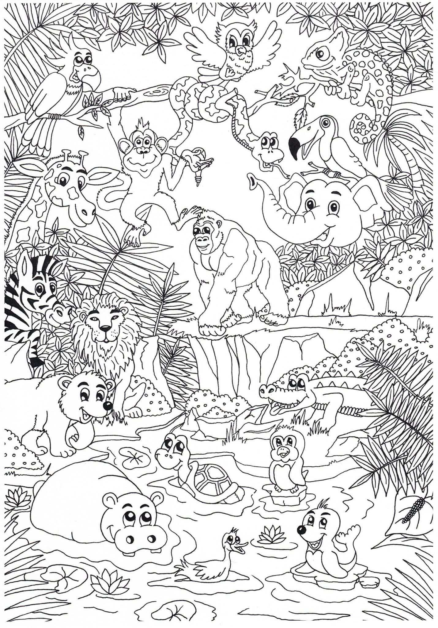 Coloring Page With Images Zoo Coloring Pages Jungle Coloring