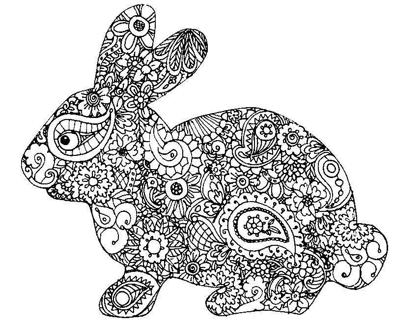 Ben Kwok Rabbit Bunny Coloring Pages Rabbit Artwork