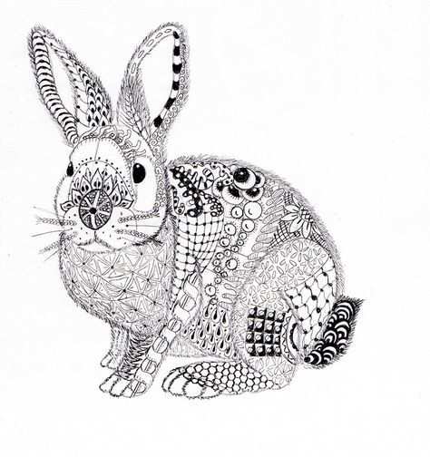 Ben Kwok Rabbit Bunny Coloring Pages Rabbit Artwork