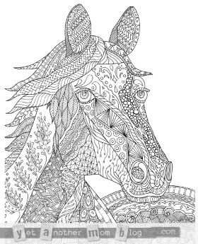Zentangle Horse Coloring Page For Adults Plus Bonus Easy Horse
