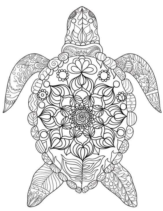 Turtle Ocean Sea Abstract Doodle Zentangle Paisley Coloring Pages