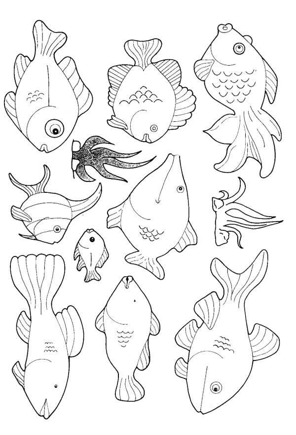 Kleurplaat Vissen Vissen Met Afbeeldingen Kleurplaten Dieren