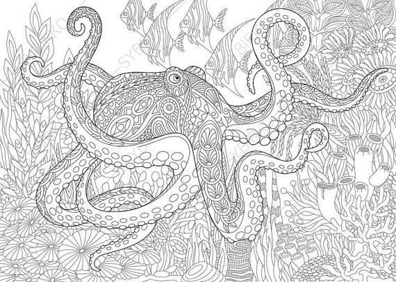 Coloring Pages For Adults Sea Octopus Adult Coloring Pages