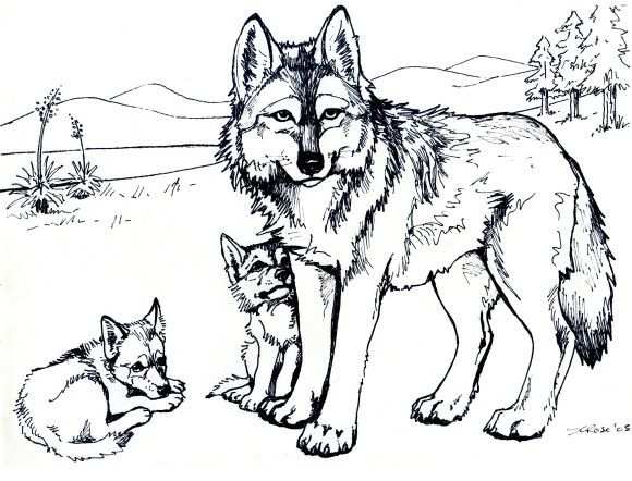 Printable Free Wolf Coloring Pages For Adults Kleurplaten