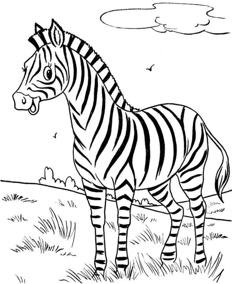 Cute Zebra Coloring Pages In 2020 Zebra Coloring Pages Zoo