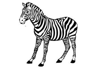 Kleurplaat Zebra Met Afbeeldingen Kleurplaten Zebra S Gratis