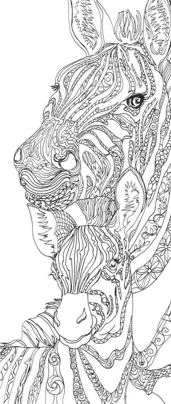Zebra Clip Art Coloring Pages Printable Adult Coloring Book Hand