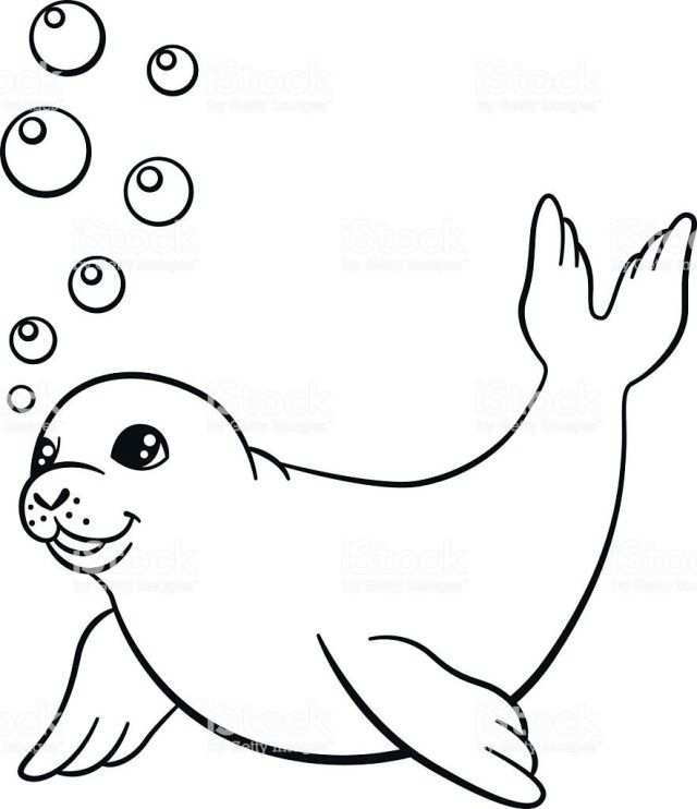 Exclusive Picture Of Seal Coloring Pages Kleurplaten En Zeehonden