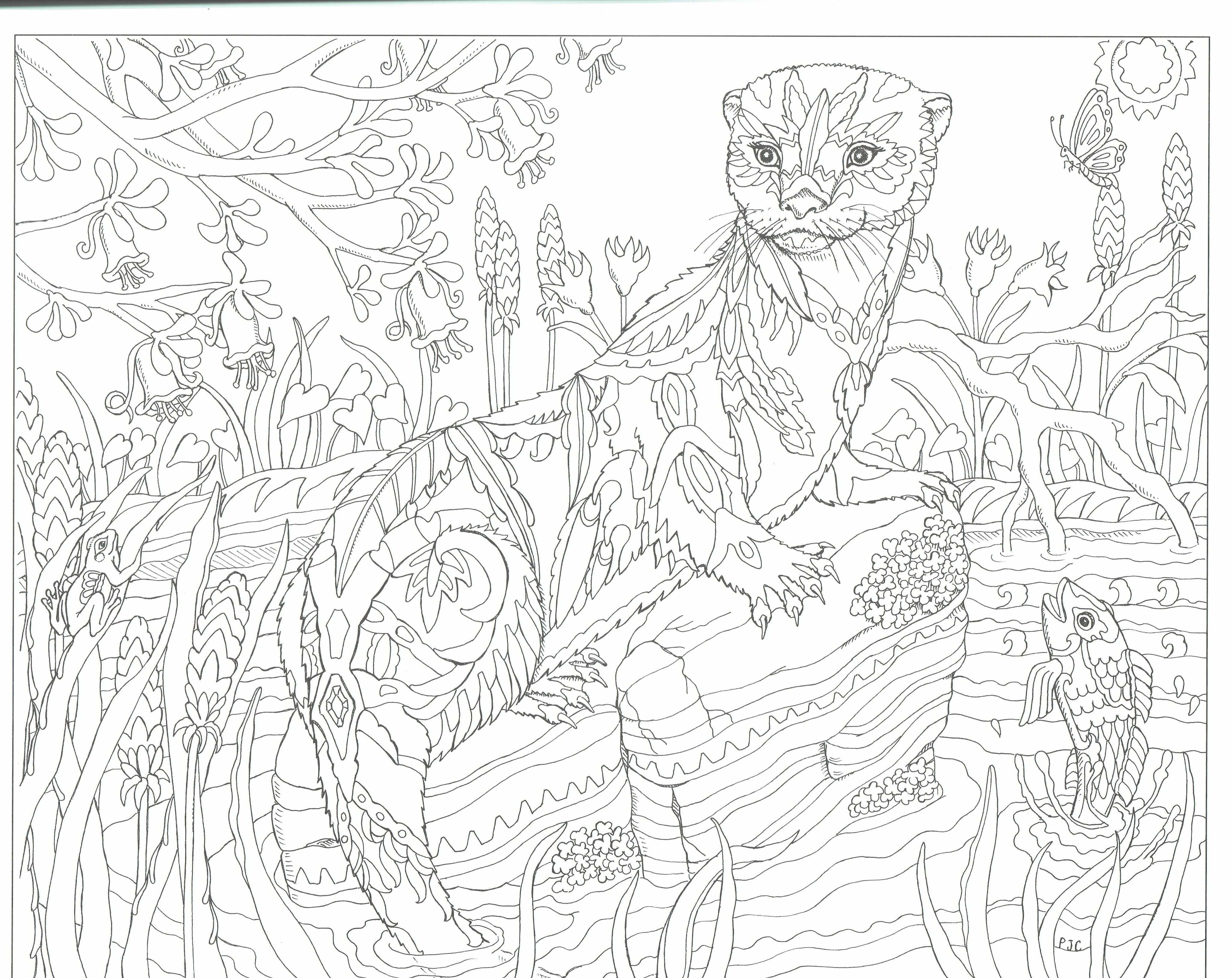 This Will Print On 11x17 Just As Nice As 8 5x11 Animal Coloring