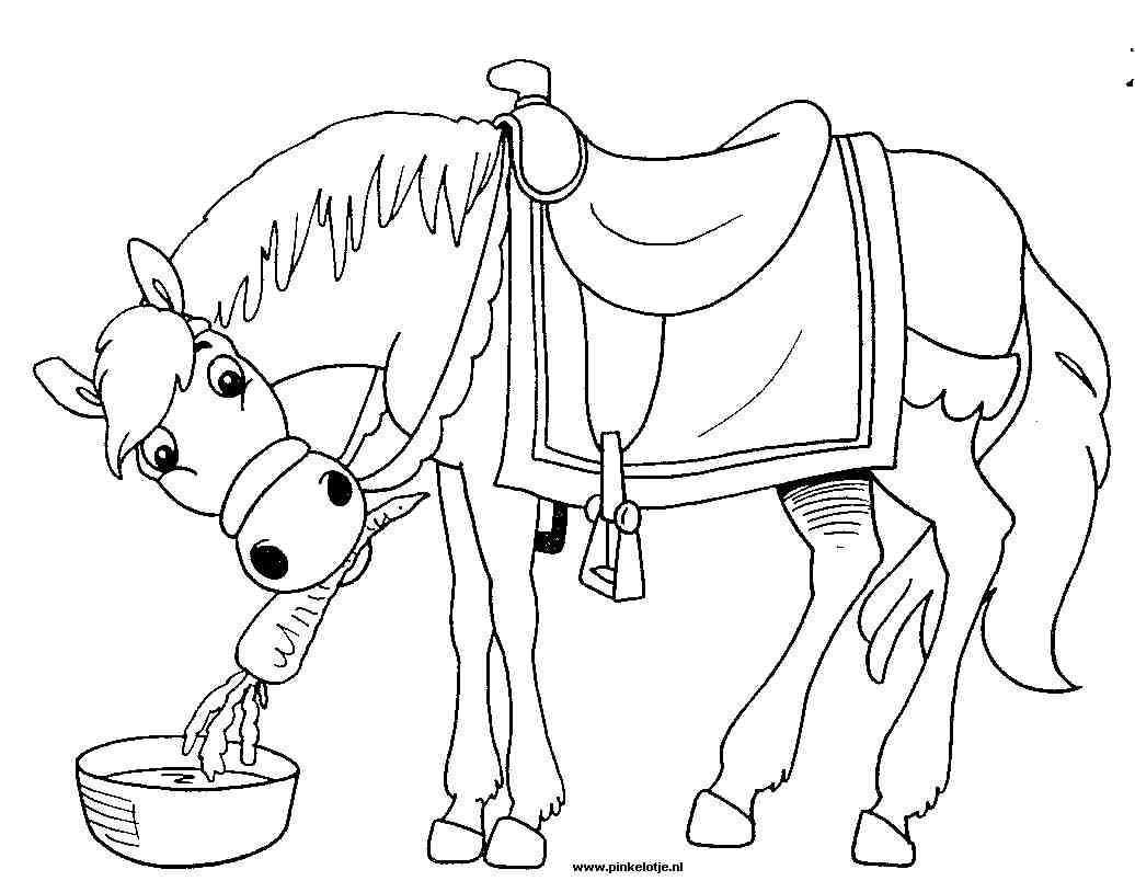 Americo Het Paard Van Sinterklaas Kids Drawing Pinterest