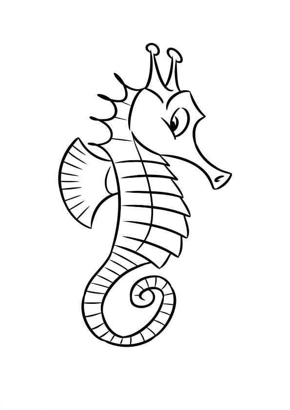 Top 10 Seahorse Coloring Pages For Your Little Ones Zeepaardje