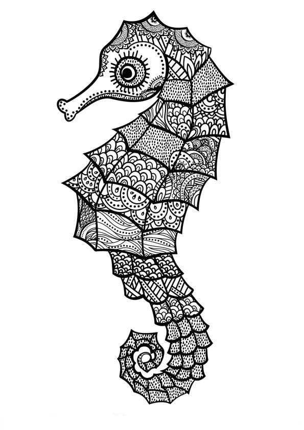 Zeepaardjes Kleurplaat Zentangle Drawings Mandala Drawing