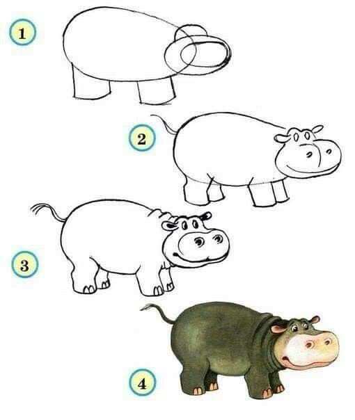 Nijlpaard Tekenen With Images Hippo Drawing Art Drawings For