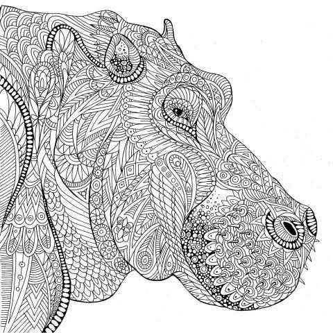 Pin Van Barbara Op Coloring Hippo Rhino Met Afbeeldingen