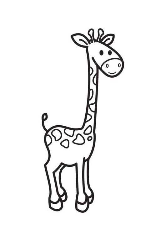 Kleurplaat Giraf Met Afbeeldingen Giraffe Tekening Olifant