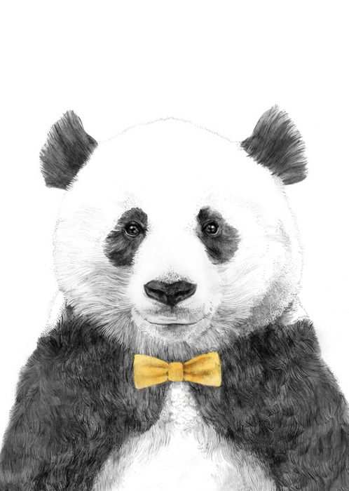 Pandabeer Kleurplaten Topkleurplaat Nl Dieren Kleurplaten