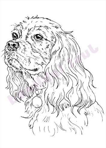 The Kids Will Love This How To Draw A Dog Step By Step