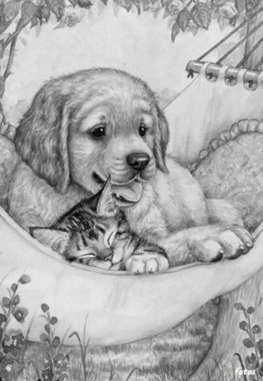 Puppy Kleurplaat Schattige Dieren