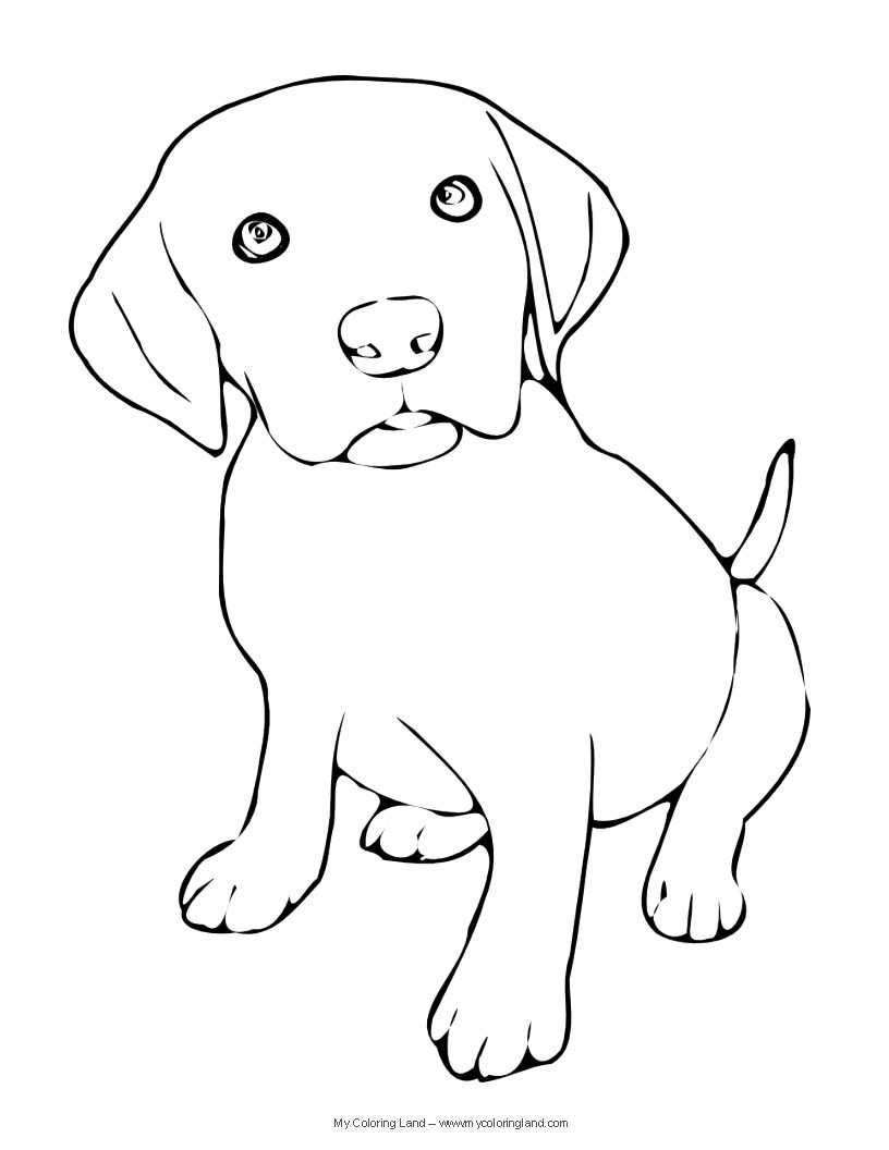 We Hope You Have Found A Puppy Coloring Page Suitable To Your