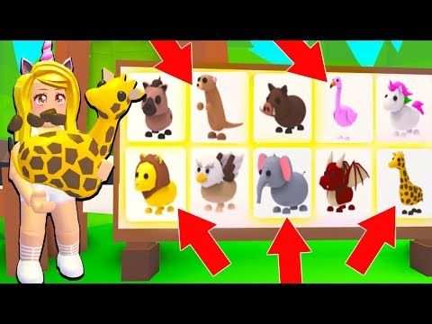 Buying All The New Safari Pets In Adopt Me Roblox Youtube