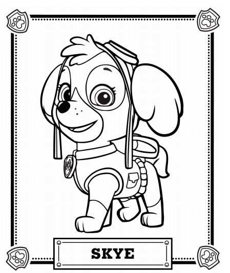 Zuma Coloring Pages New Paw Patrol Rocky Skye And Page Inside Free