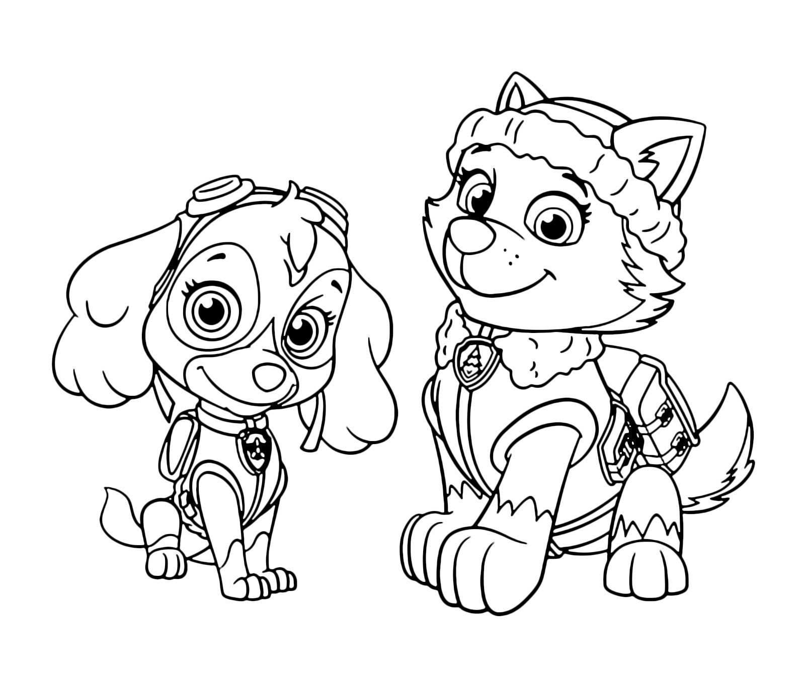 Zuma Coloring Pages New Paw Patrol Rocky Skye And Page Inside Free