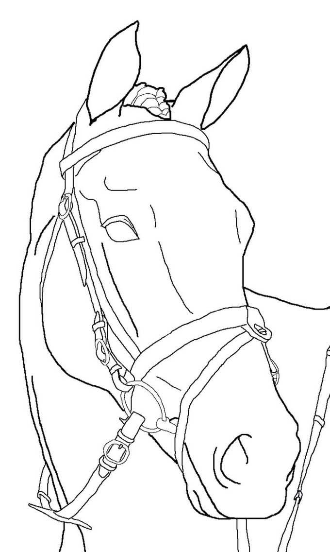 Horse Coloring Pages Paard Tekeningen Tekenen Kleurplaten