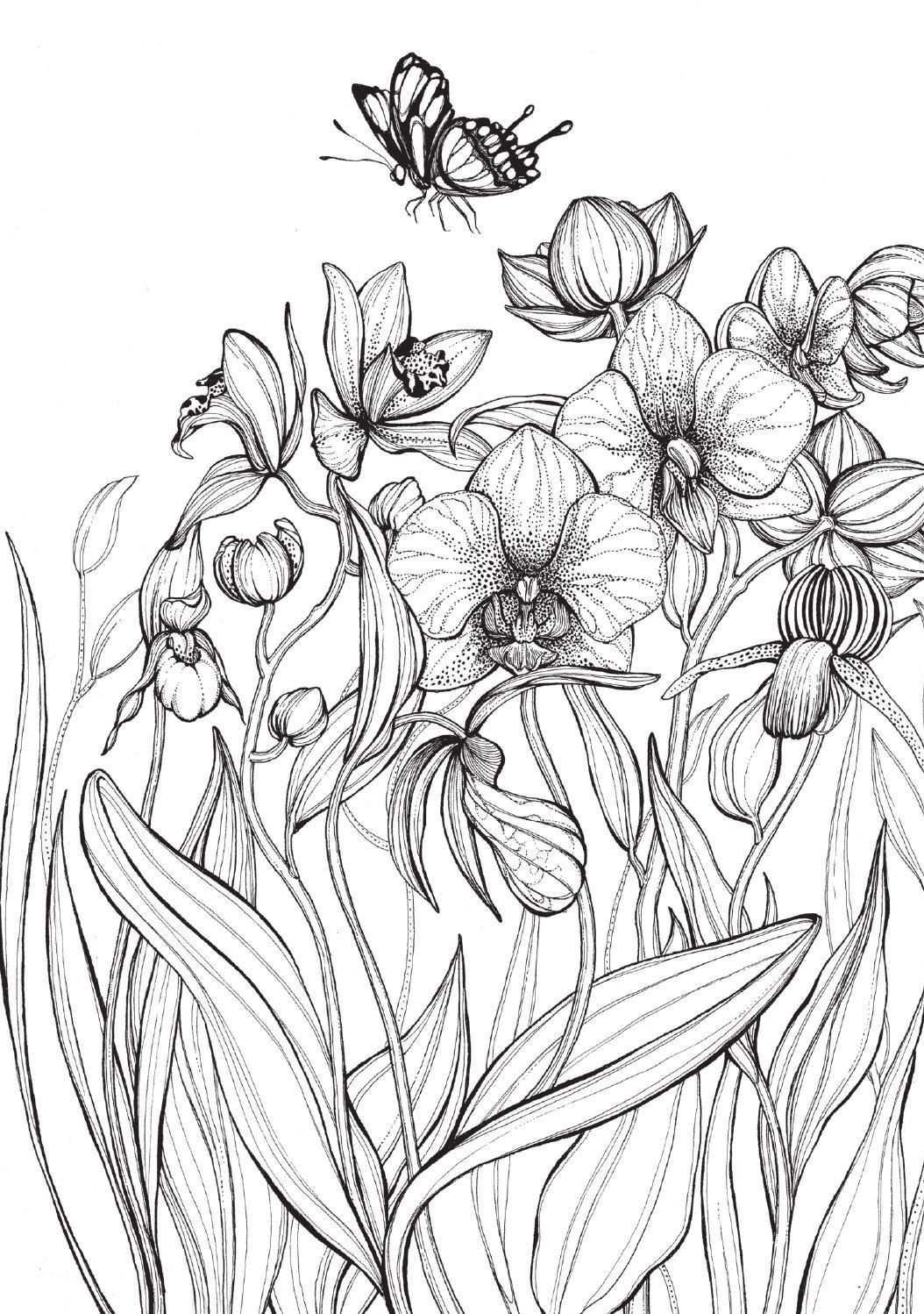 Tekening Kleurplaat Bloemen Volwassenen Images